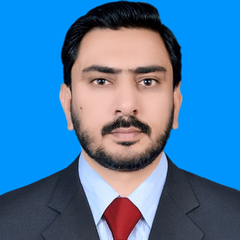 Muhammad Naveed Iqbal Malik