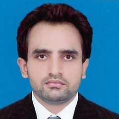 Muhammad Waqas Ul Hassan