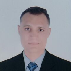 Mahmoud Hamdi, محاسب عام