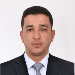 Hassan Ammisaid, online sales technician
