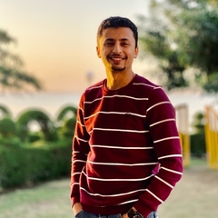 Mohamed Fawzi, frontend web software developer