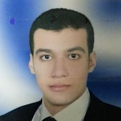 موسى محمد كمال طه موسى الحاوى, senior specialist 