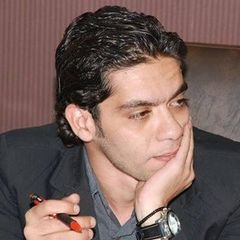 Eslam Abdeltawab, Journalist