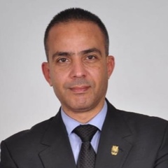 Dr Ahmed Anter Houssein