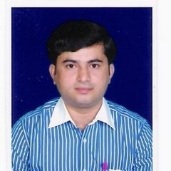 prashant Karodpati, Business Development Consultant