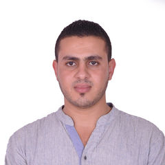 عمر BOUAMEUR, Regional technical referent