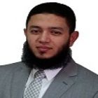 Mahmoud Shaheen, Freelance, IT Consultant