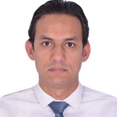 Ahmed Youssef Hussein Mohamed Amer, IT Section Head