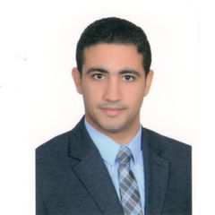 Mamdouh Eldamarawy, Geotechnical engineer
