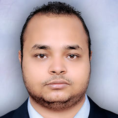 مصطفى حسني, Site Engineer
