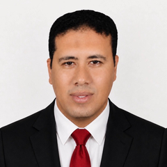 محمد عرفه محمود ابراهيم, Construction Project Manager
