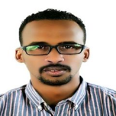 Mohamed Zroog Elawed Ahamed Zroog, IT & Broadcast Engineer