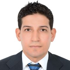 Alaa Ezzeldin, Senior AV&Low Current Engineer (Pre Sales)