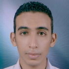 Mahmoud Sapry Mohammed Mohammed Farag