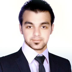 محمد نور السيد سليمان, Chief financial