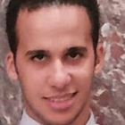 Mohamed Ragheb, Sales Engineer