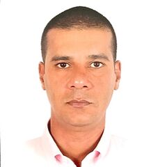 Mohamed Abdelaal, Territory Sales Manager