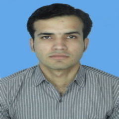 Muhammad Jawad Hameed, manager accounts