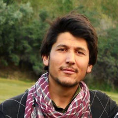 عبد الرحمن  أنور, Developer