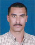 Hesham Fawzy Salah Ahmad, Accountant