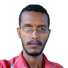 Ahmed Esam Abdallah Mohammed Ali, Plasma machine operator