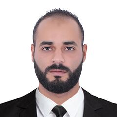 AHMED adel, Civil Project Engineer