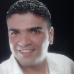 Tamer Abdelrahman, Ebranch Officer