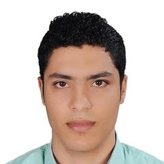 Ahmed Mohamed, محاسب قانوني
