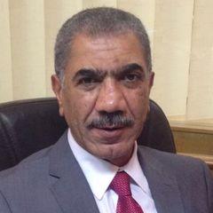 Hesham Abdelnabi, Business Development Manager