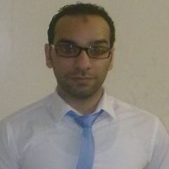 أحمد كمال يسن محمد نصار, Accountant