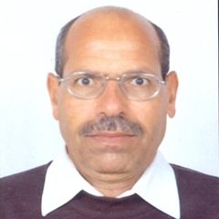 Salah Abu Nawas, Assistant Professor