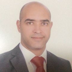 Ahmed Elmasry, Deputy Manager