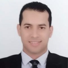 محمود  سامي حسين ابراهيم, Electrical engineer