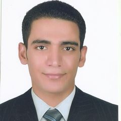 عمرو ربيع محمد, IT Support Engineer