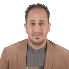 Alaa El-Din Abd El-mawgood Ahmed Salem Salem, محاسب