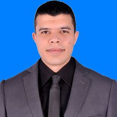 Ali Alamary, Sales Manager