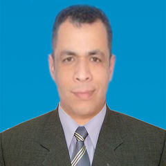 Sheref Mahmoud Yousry  PMP, Project Director 