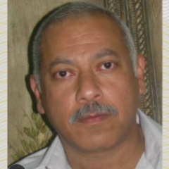 Mohamed  Abdelmajeed 