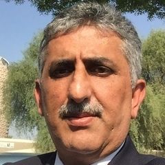 Osama Jaber, Business analyst