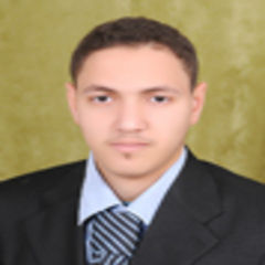 Mohamed Ahmed Mostfa Ali Hassan Badr Aldin, accountat