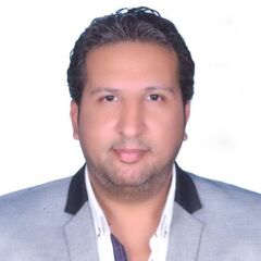 Mohamed Fayad, Project Manager