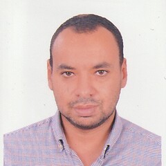 Ahmed Mohamed AbdElmowla