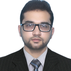 Faizan Ali  Tariq , International Travel Consultant 