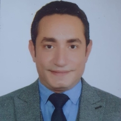 Bahaa Eldin  Badawi