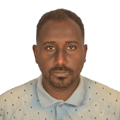 Omer Hussien, freelancer engineer