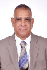 عادل مهنى على حسين, Regional Sales Manager