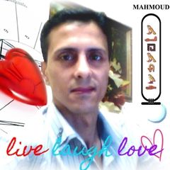 محمود سليمان الشرقاوي, PR & Exporting contact person + e-marketing & tralnslator