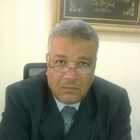 ayman zolfy, مدير حسابات