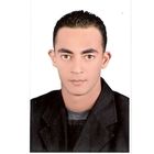 محمد سلامة محمد عبد الحميد عبد الحميد, Ticketing Agent