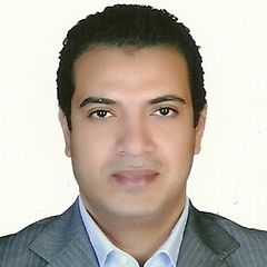Maged Ali, Project Manager